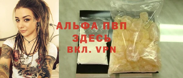 PSILOCYBIN Белокуриха