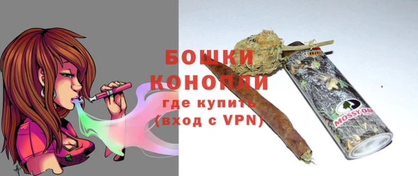PSILOCYBIN Белокуриха