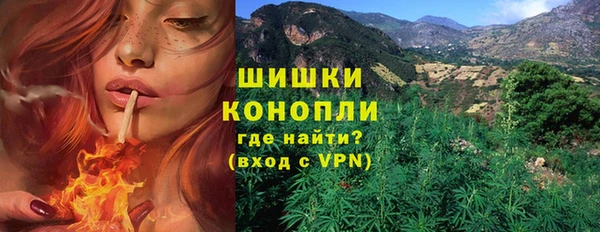 PSILOCYBIN Белокуриха
