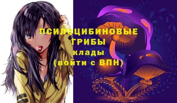 стафф Беломорск