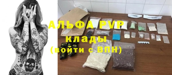 PSILOCYBIN Белокуриха